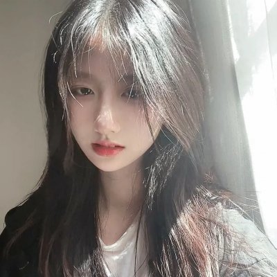 在西伯利亚森林中
